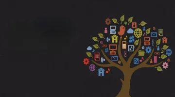 京东盛际小贷发布2024年财报，近年业绩波动大